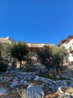 Apartments by the sea Drage, Biograd - 22187 - Pakoštane - 8