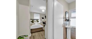 Green Reverie: Stylish Studio Escape - 7