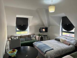 Charming 6-Bed Apartment in Wembley Area - Londra - 5