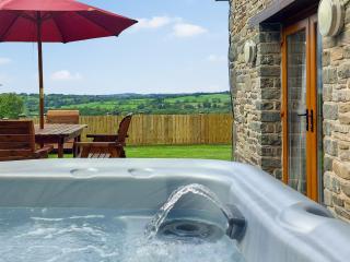 Yr Hen Beudy - Tregaron - 0