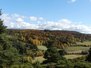 Gite de la margeride - Thoras - 1