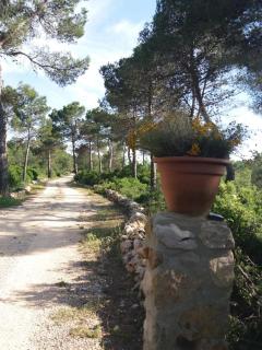 Charming Farmhouse in Enguera, Spain with Private Pool and Mountain Views - Enguera - 2