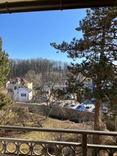Dom Balkan Apartman White - Vrnjačka Banja - 4