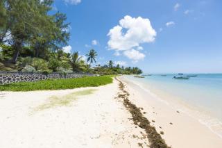Cosy private bungalow pool 5 mins to beach - Cap Malheureux - 8