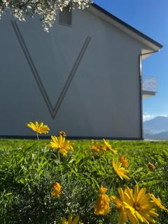 La Valle B&B - Castel Campagnano - 7