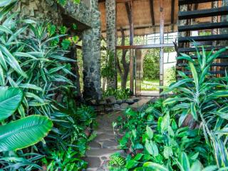 The Tropical Hut - 4