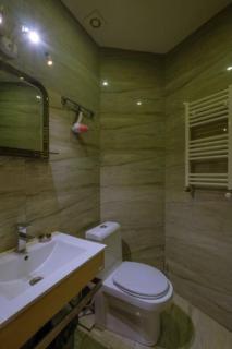 Cozy place in new Gudauri - 1
