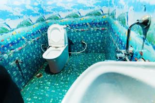 SkY Home Stay at Dayara Bugyal Trek Point Raithal - 9