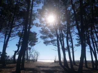 Camping Les Goélands - Maeva - 8