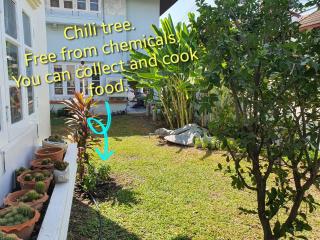 3 BR Cozy Home Skytrain View BKK - Ban Bang Chan - 8