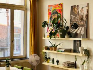 Down-Town 1 Bedroom Flat - Bruxelles - 8