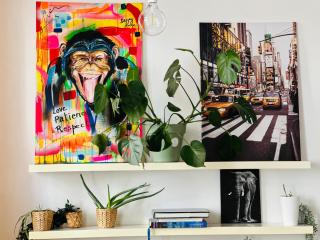 Down-Town 1 Bedroom Flat - Bruxelles - 9