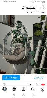 شاليه ليالي السيب - 1