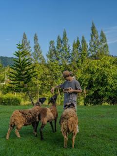 Kachonghills Tented Resort Trang - Trang - 5