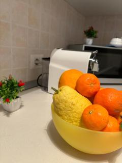 Vincent’s House - 6