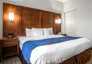 Comfort Suites - Eufaula - 9