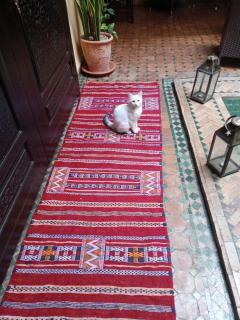 Riad Aguaviva - Marrakech - 3