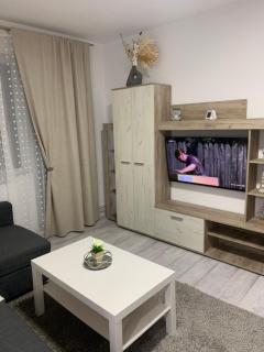 Apartament Elena - Bîrlad - 0