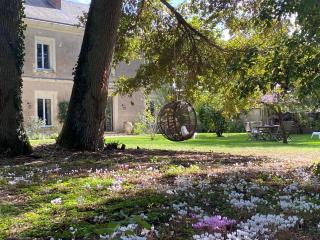 Domaine de La Soudelle - Chanceaux-sur-Choisille - 9