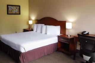 Econo Lodge - Ormond Beach - 7