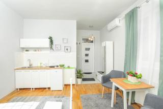 Studio 91 with Great WI-FI and free parking - Belgrad - 9