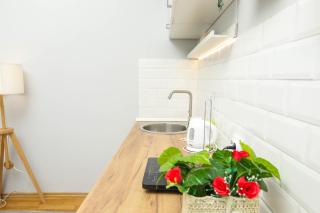 Studio 91 with Great WI-FI and free parking - Belgrad - 4