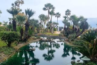 Beach Charm apartment Costalita - RDR372 - Estepona - 5