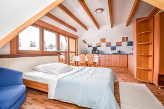 Willa Pod Orłem Jacuzzi Sauna - Kościelisko - 8