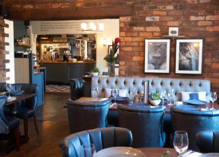 The Dog in Over Peover - Knutsford - 2