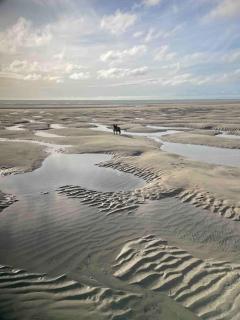 Appartement à 100m de la plage - Neufchâtel-Hardelot - 2