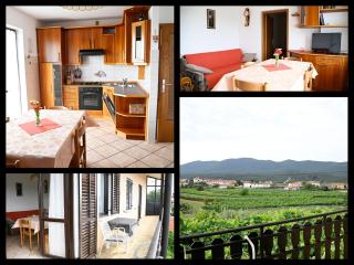 Apartma Čuk - Dutovlje - 9