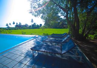 Birdsong Leisure Resort - Tissamaharama - 8