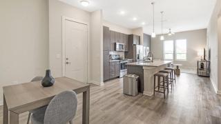 Landing Modern Apartment with Amazing Amenities (ID8783X97) - Jacksonville - 5