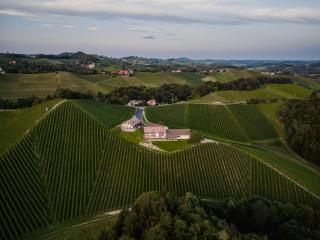 Weingut Brenner am Rossberg - Glanz an der Weinstraße - 8