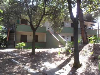Apartment in Eraclea Mare 25654 - Eraclea Mare - 0