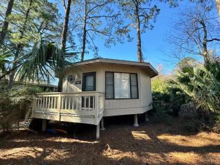 39 Night Heron - Hilton Head Island - 0