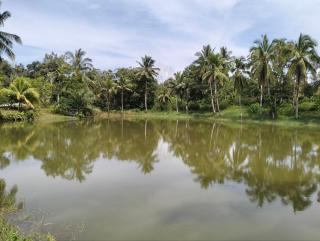 De'Lakeside musslim's homestay - 1