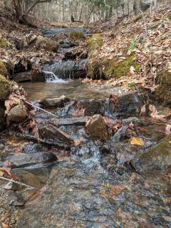 Serene & Cozy - Peaceful View - Fireplace - Creek - Fleetwood - 3