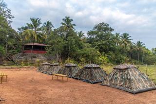 Dandeli Resorts And Spa - Dandeli - 0