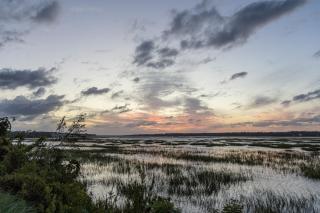 St. Andrews Common 1867 - Hilton Head Island - 4