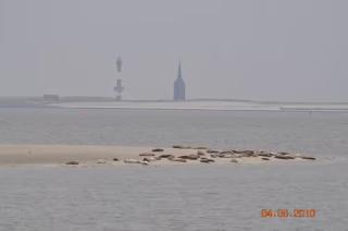 Ferienhaus Strandfloh - Wangerooge - 2