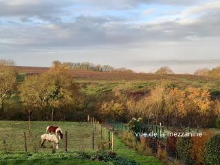 Chambre de la Divatte - 0