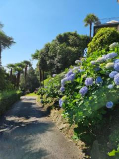 Apartment camelie with private beach - Baveno - 7