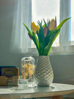Apartman Lola - Vinkovci - 8