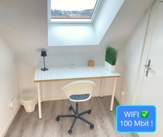 Ruhige, neue Dachwohnung an Altstadt, nähe Messe - 6