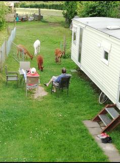 Herzfennerhof Mobilheim - 5