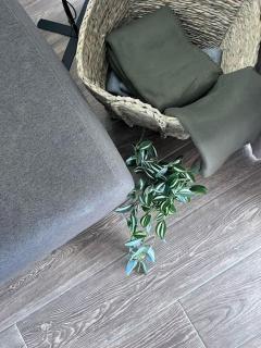 Sea-mist luxury escape - 4