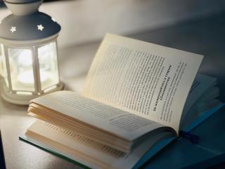 314 Urban Oasis Sholpan city - 3