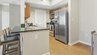 Landing Modern Apartment with Amazing Amenities (ID1264X851) - 9