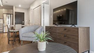Landing Modern Apartment with Amazing Amenities (ID9831X60) - 6